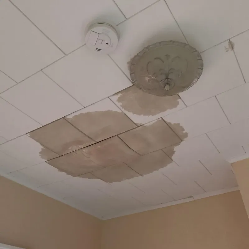 Ceiling Water Damage Repair in Ballard, UT